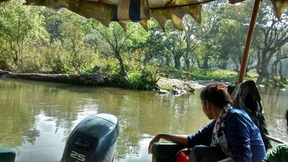 Photo of Roadtrippin' in Karnataka: Coorg, Mangalore, Chikmagalur by Shinjini Majumder