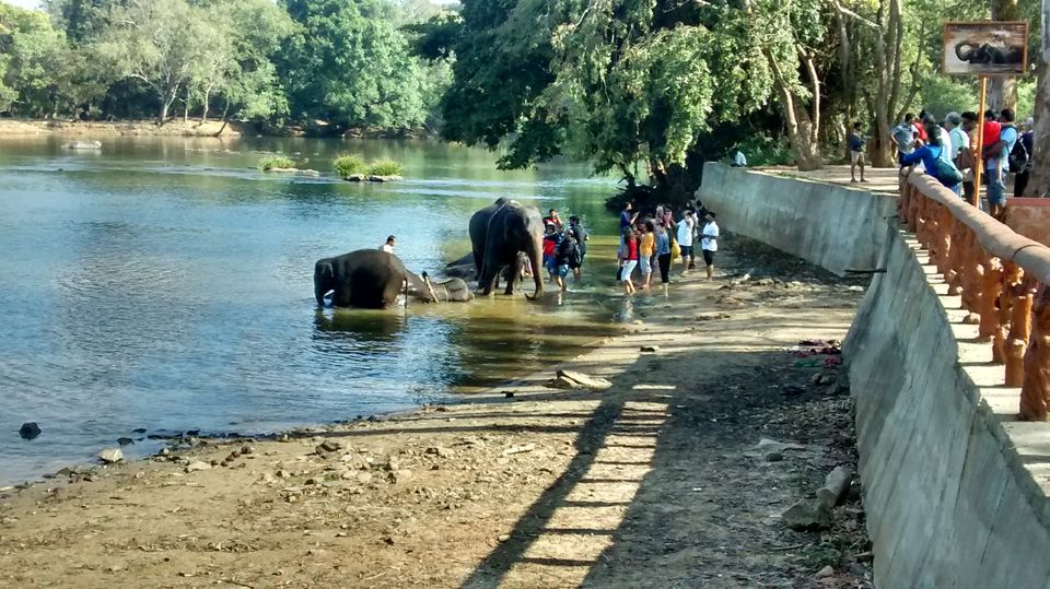 Photo of Roadtrippin' in Karnataka: Coorg, Mangalore, Chikmagalur by Shinjini Majumder