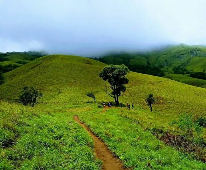 Road Trip In Karnataka - Coorg, Mangalore And Chikmanglur | Tripoto