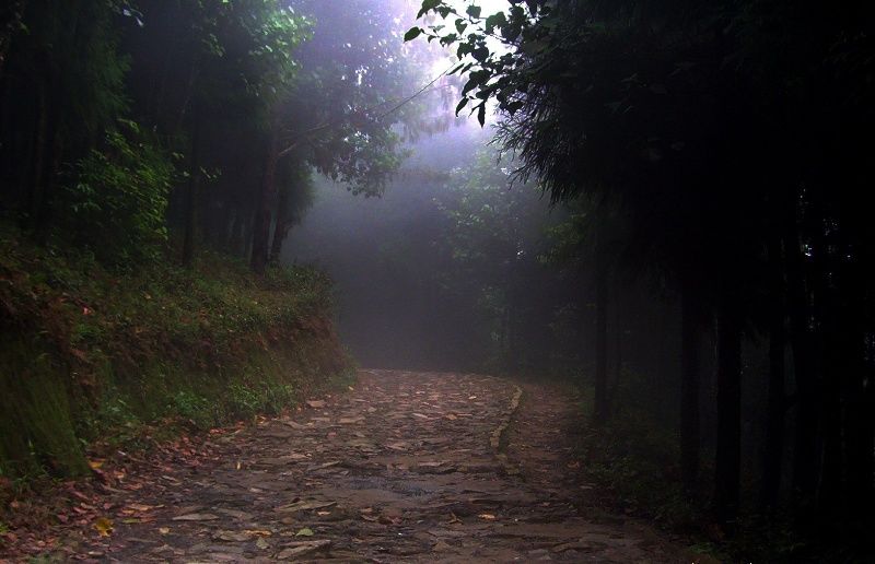 Photo of Tinchuley- Darjeeling's hidden treat 2/11 by Shinjini Majumder
