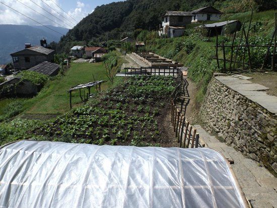 Photo of Tinchuley- Darjeeling's hidden treat 6/11 by Shinjini Majumder
