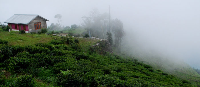 Photo of Tinchuley- Darjeeling's hidden treat 7/11 by Shinjini Majumder