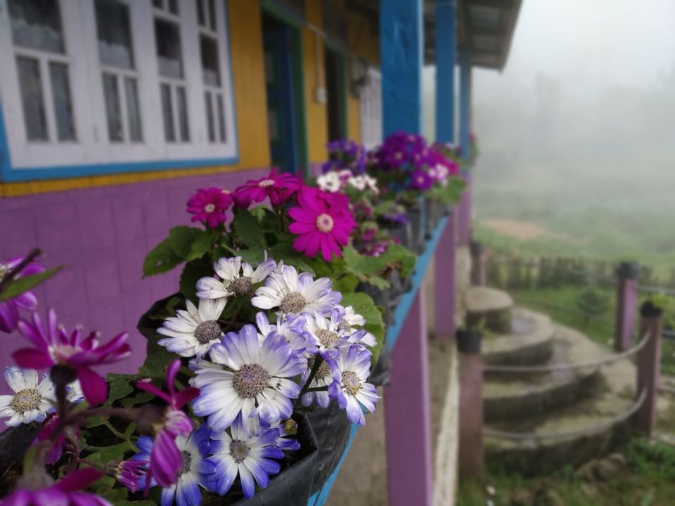 Photo of North Bengal's Hidden Hamlet is Chatakpur 1/16 by Shinjini Majumder