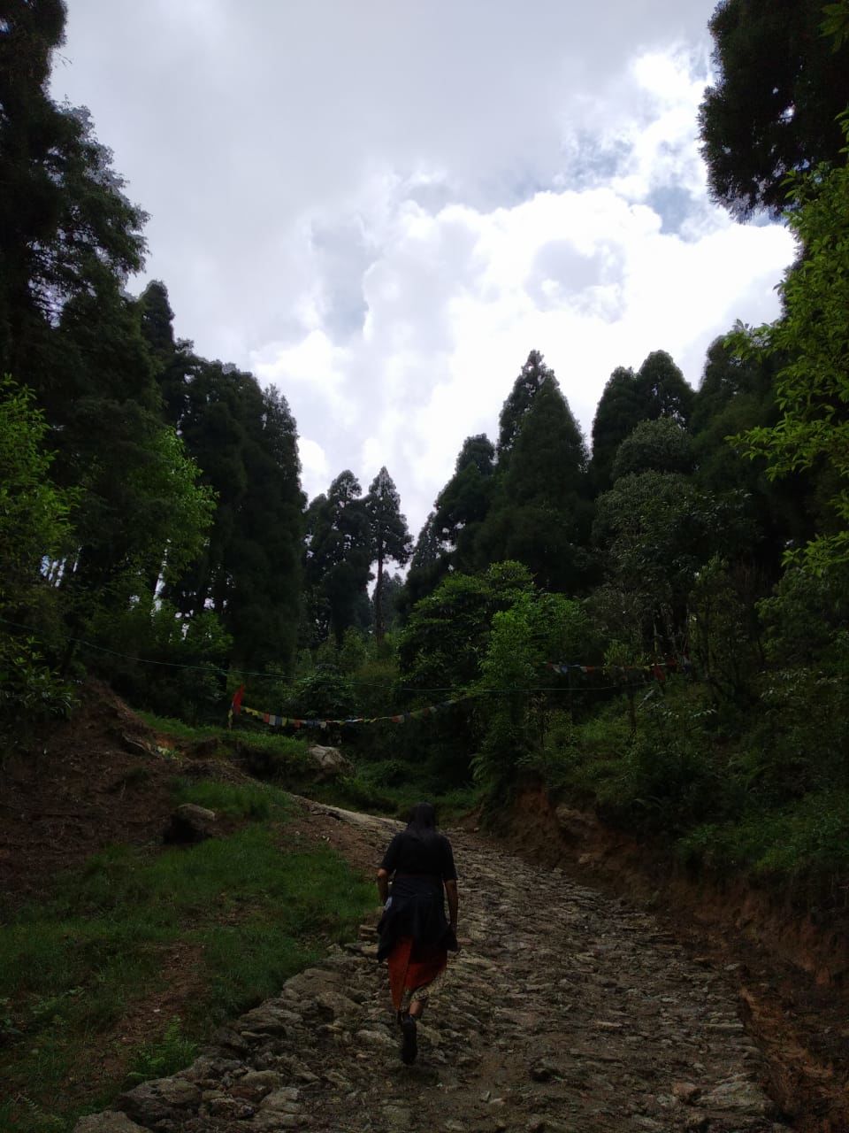 Photo of North Bengal's Hidden Hamlet is Chatakpur 6/16 by Shinjini Majumder