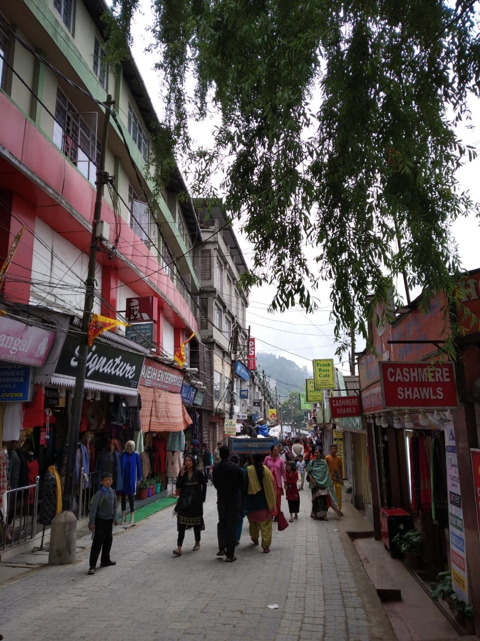 Photo of North Bengal's Hidden Hamlet is Chatakpur 16/16 by Shinjini Majumder