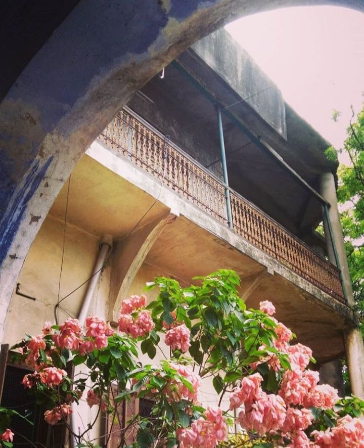 Photo of Open Letter by a Living Local for Travellers: Kolkata 3/21 by Shinjini Majumder