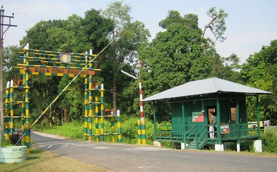 Photo of Northeast, yet Not Quite 3/7 by Shinjini Majumder