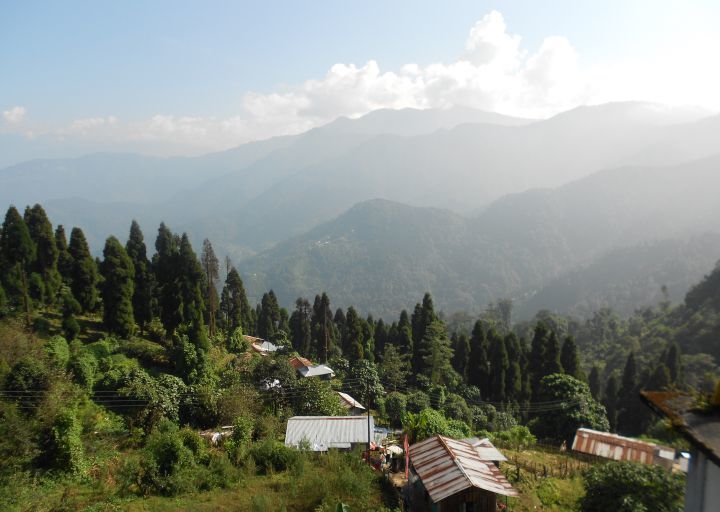 Photo of Northeast, yet Not Quite 2/7 by Shinjini Majumder