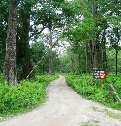 Photo of Northeast, yet Not Quite 5/7 by Shinjini Majumder