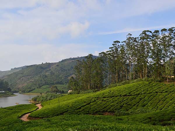 Photo of 20 Places To Go To Under 20K This Winter 38/49 by Shinjini Majumder