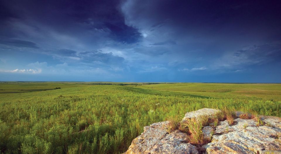 Photo of Why Only Mountains and Beaches, Why Not The Plains? by Shinjini Majumder