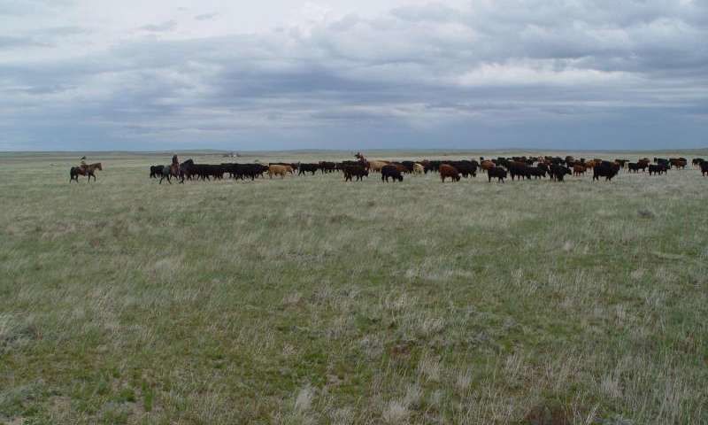 Photo of Why Only Mountains and Beaches, Why Not The Plains? 2/15 by Shinjini Majumder