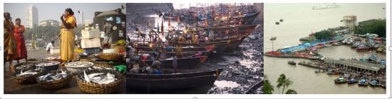 Photo of Sassoon Docks, Shahid Bhagat Singh Road, Colaba, Mumbai, Maharashtra, India by sneha shenoy