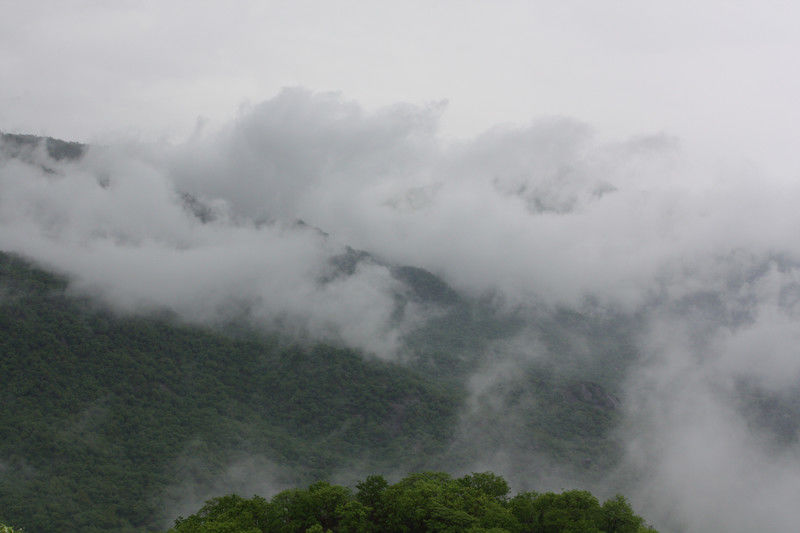 Photo of Places To Visit In India In December 6/9 by Ananya Mahant