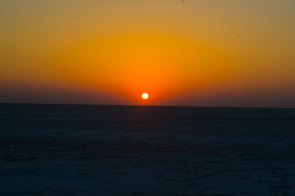 Photo of Love Across the Salt Desert 5/13 by Pooja Mishra
