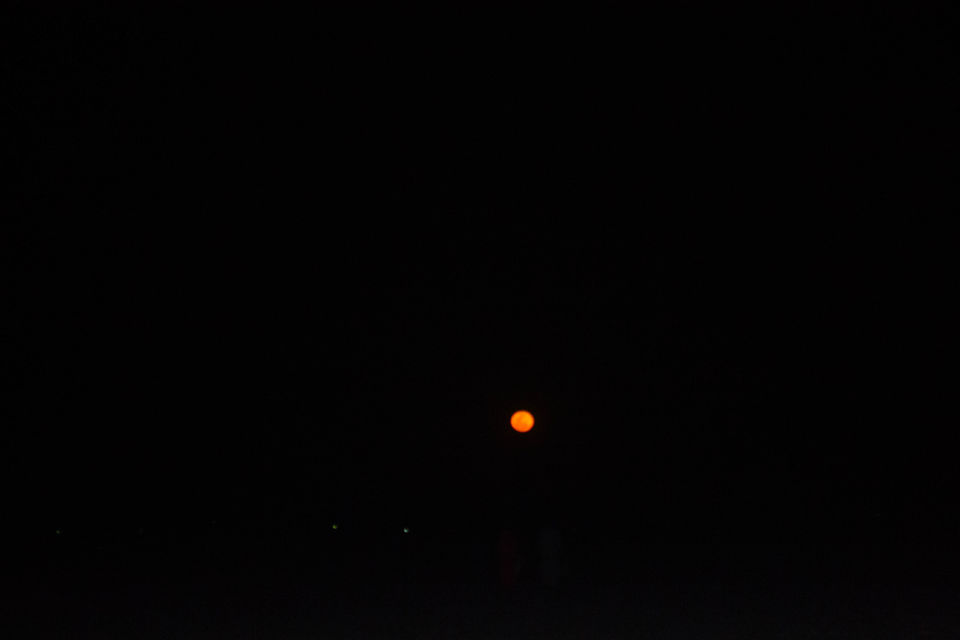 Photo of Love Across the Salt Desert 6/13 by Pooja Mishra