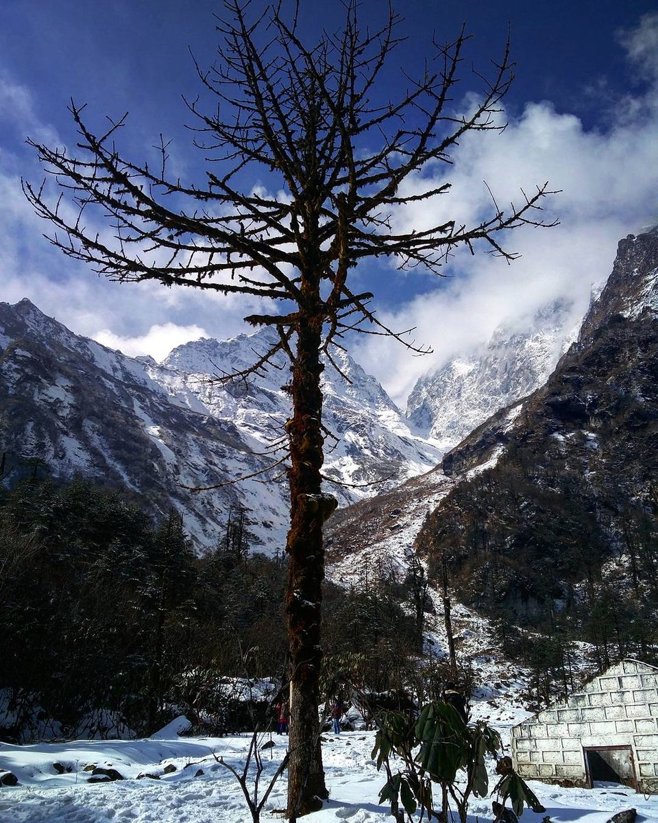 Photo of A Trip to Darjeeling and Sikkim 6/10 by Pooja Mishra