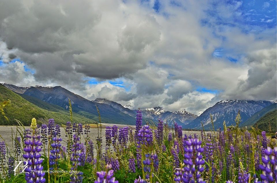 Photo of Road trip itinerary | New Zealand 1/6 by Praveen & Leela