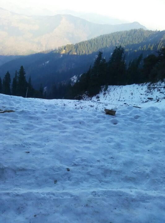 Photo of Narkanda New Year - 2015 31st Dec by Navankur Chaudhary
