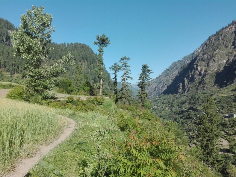 Photo of Pulga, Sosan, Himachal Pradesh 175105, India by Koustav Biswas