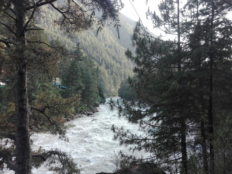 Photo of Pulga, Sosan, Himachal Pradesh 175105, India by Koustav Biswas