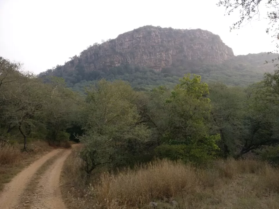 Photo of Sawai Madhopur, Rajasthan, India by Koustav Biswas