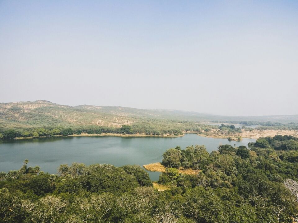 Photo of Ranthambore Fort Road, Ranthambhore Fort, Rajasthan, India by Koustav Biswas