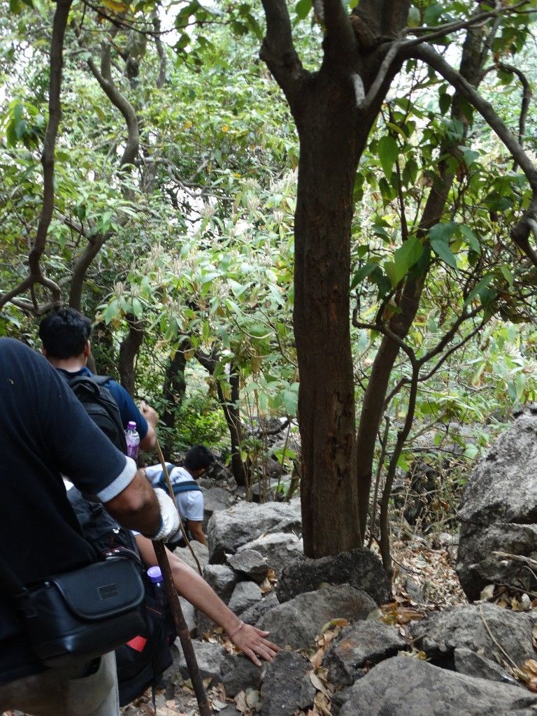 Photo of Ajoba Hills – A trek worth its Folklore 11/13 by Vatsal Nandu