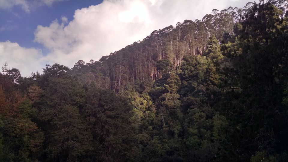 Photo of Travel within the clouds : Kodaikanal 2/18 by Nilay Chakrapani