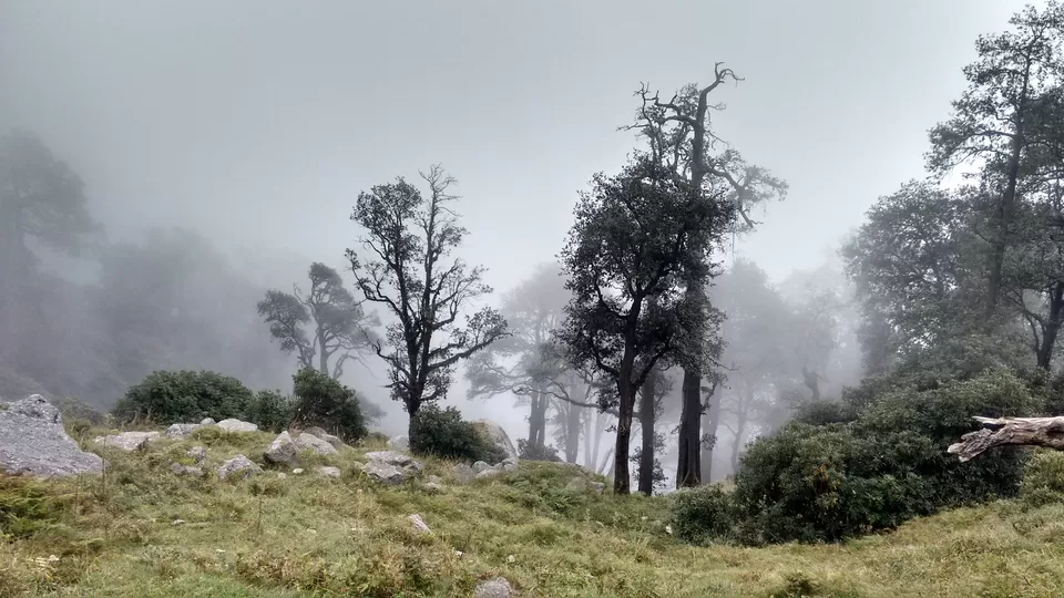 Photo of Gallu Devi Temple, Trail to Triund Hill, Dharamshala, Himachal Pradesh, India by Shanky Kalra