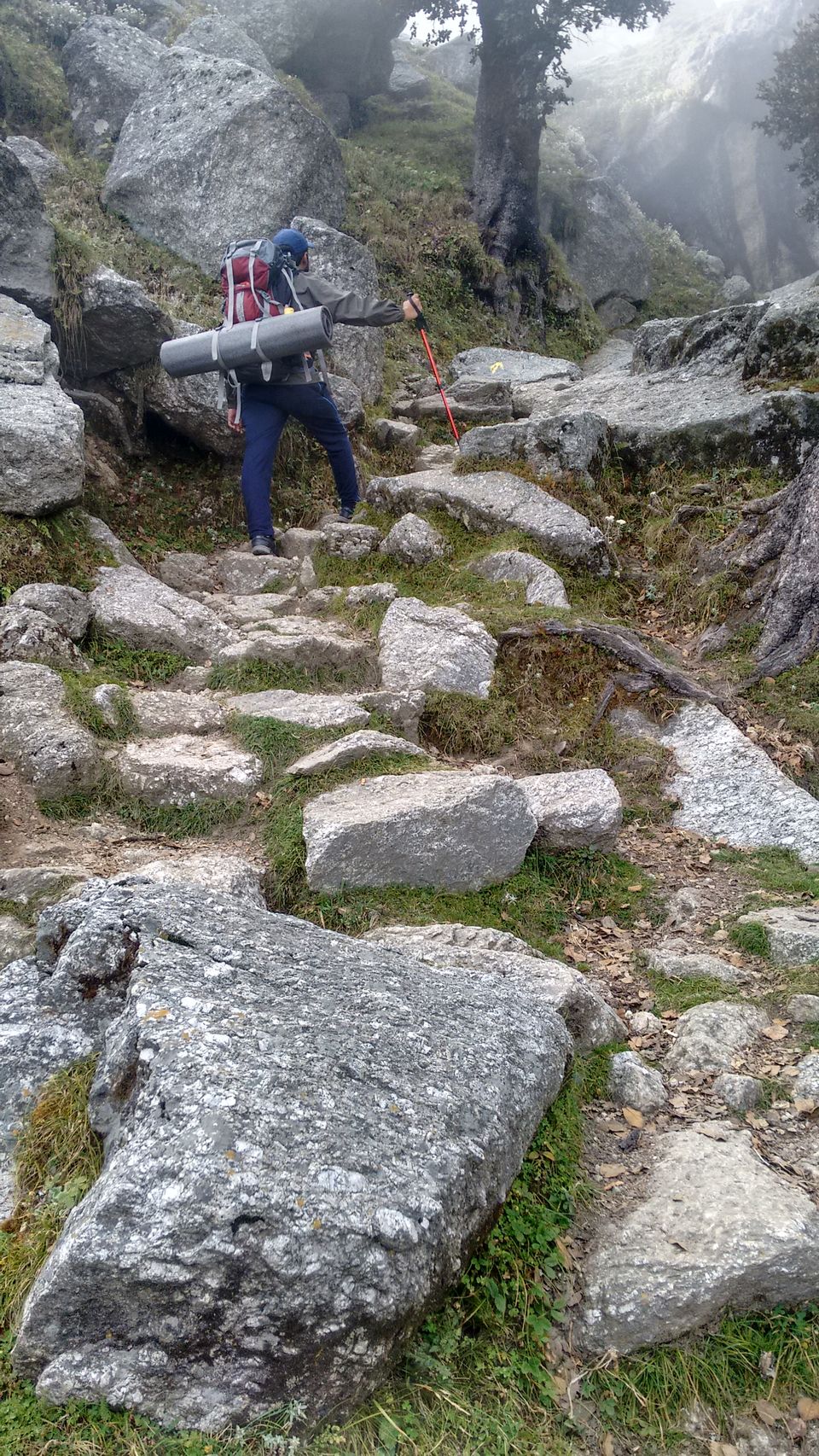 Photo of Trail to SnowLine Cafe, Dharamshala, Himachal Pradesh, India by Shanky Kalra