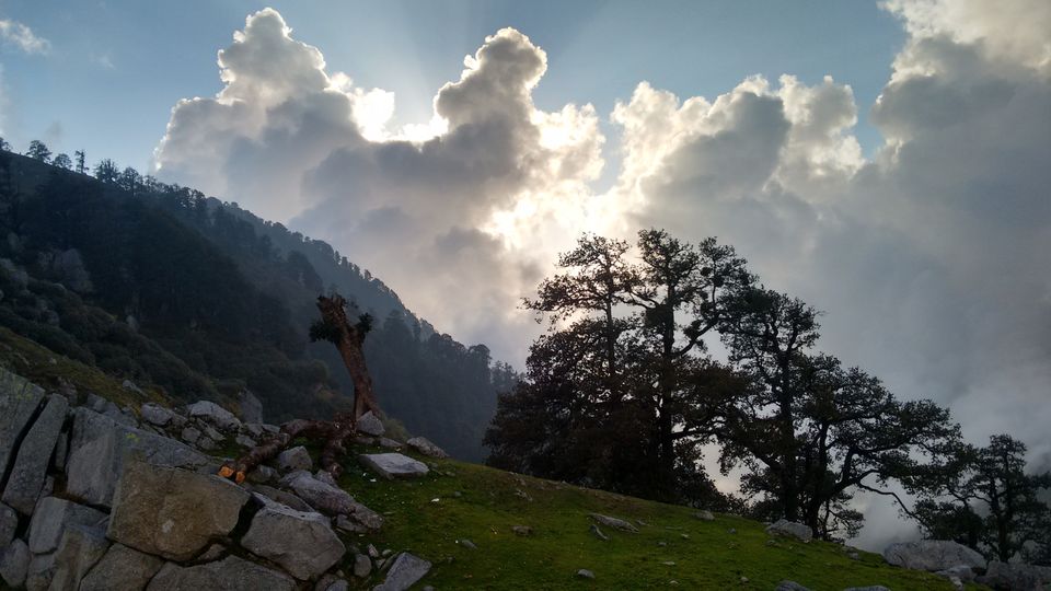 Photo of Trail to SnowLine Cafe, Dharamshala, Himachal Pradesh, India by Shanky Kalra