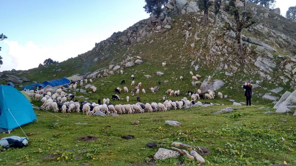 Photo of Trail to SnowLine Cafe, Dharamshala, Himachal Pradesh, India by Shanky Kalra
