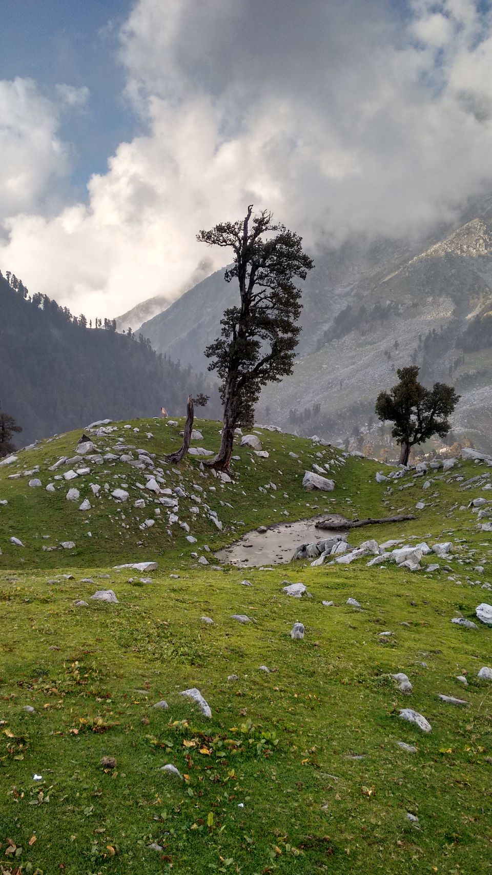 Photo of Trail to SnowLine Cafe, Dharamshala, Himachal Pradesh, India by Shanky Kalra