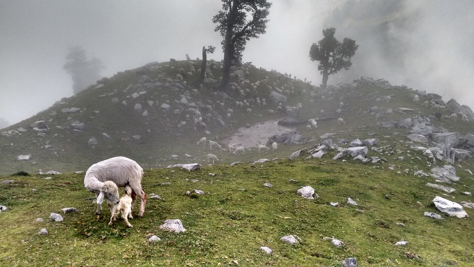 Photo of Indrahar Pass - Trek to Boulders by Shanky Kalra