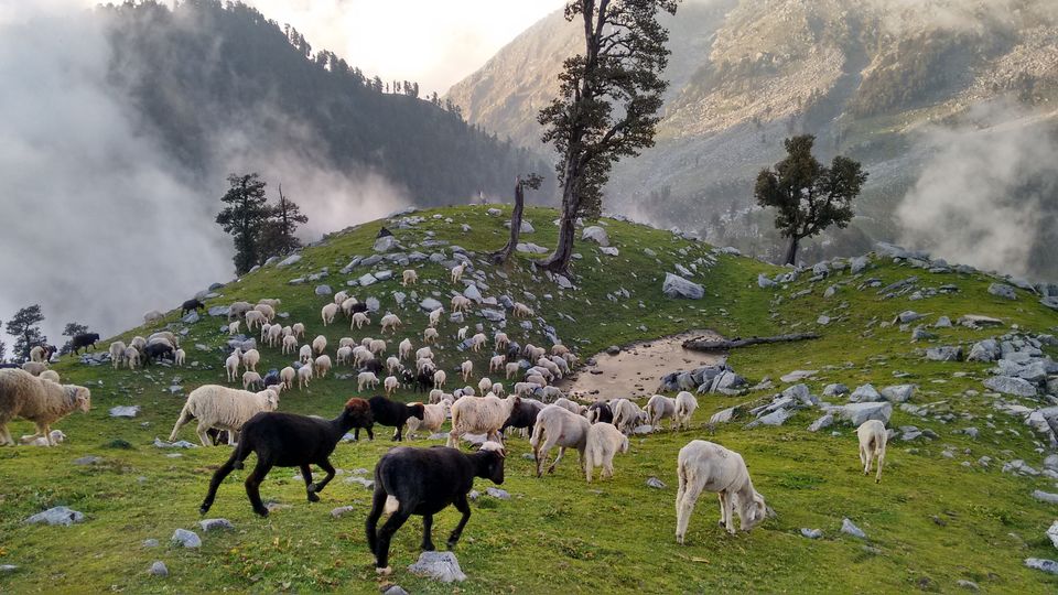 Photo of Indrahar Pass - Trek to Boulders by Shanky Kalra