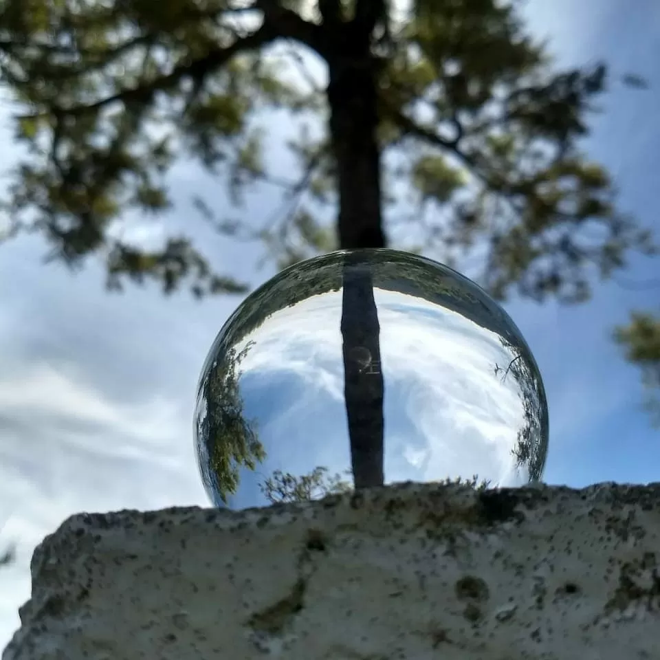 Photo of Pedro Tea Factory, Nuwara Eliya, Sri Lanka by Shanky Kalra