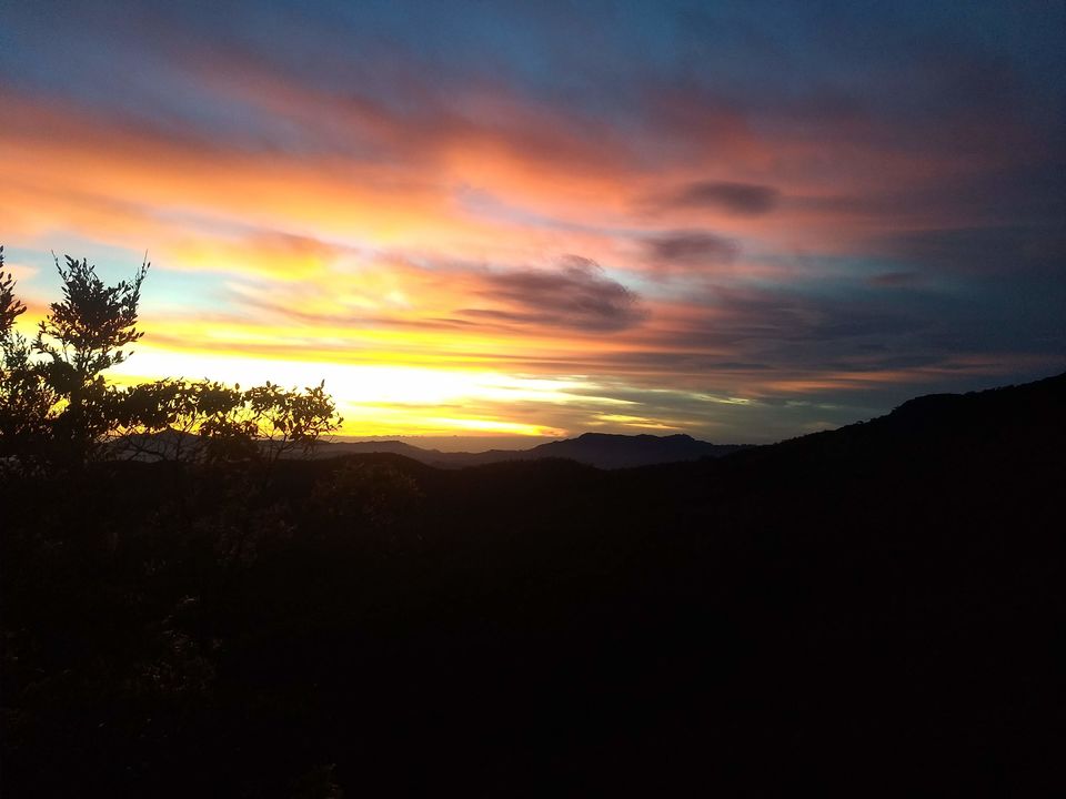 Photo of Horton Plains National Park, Sri Lanka by Shanky Kalra