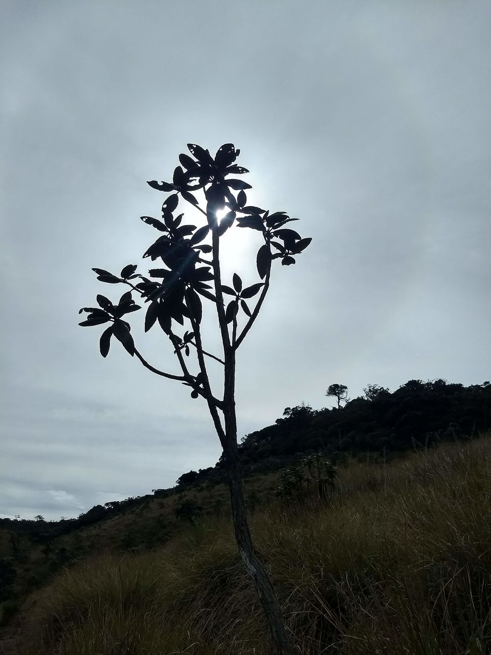 Photo of Horton Plains National Park, Sri Lanka by Shanky Kalra