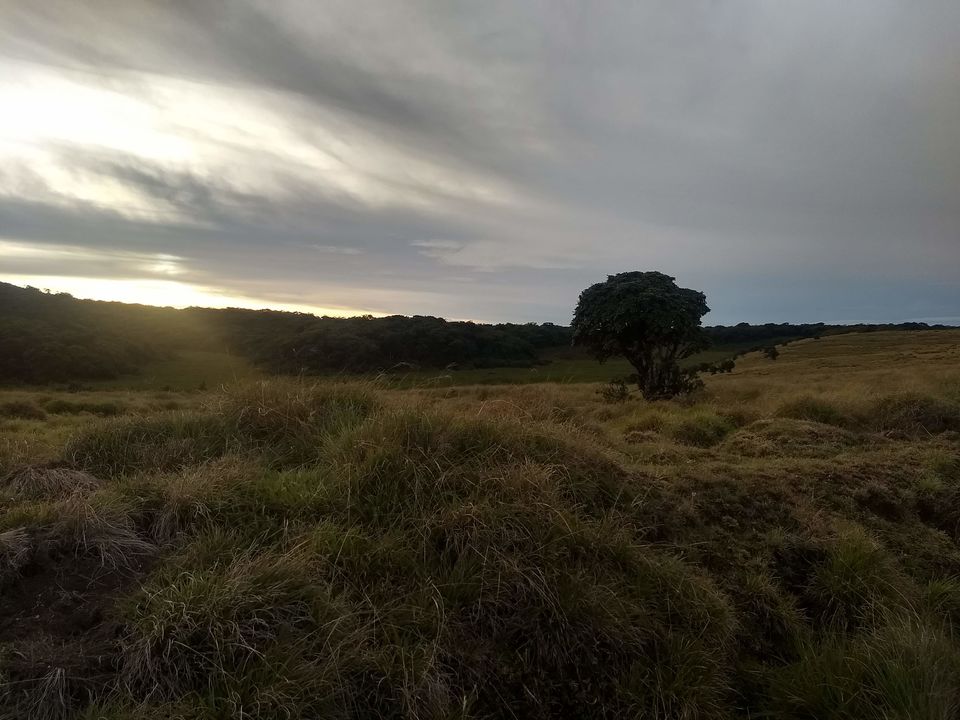 Photo of Horton Plains National Park, Sri Lanka by Shanky Kalra