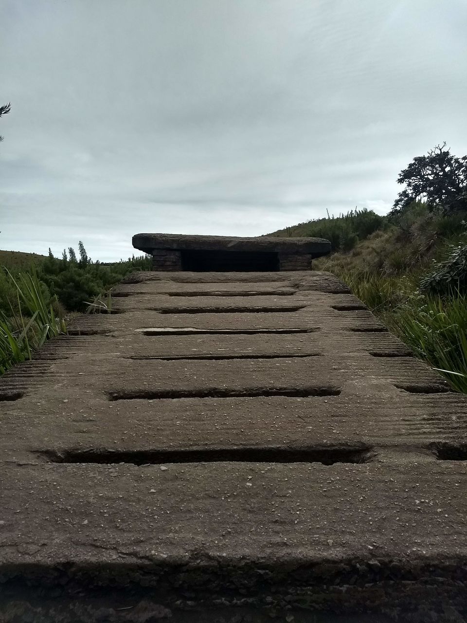 Photo of Horton Plains National Park, Sri Lanka by Shanky Kalra