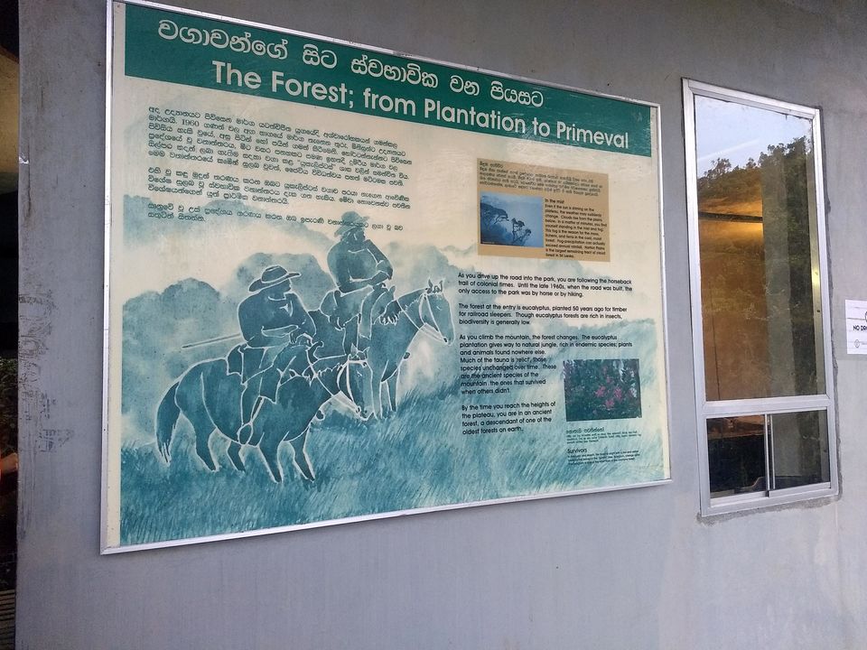 Photo of Horton Plains National Park, Sri Lanka by Shanky Kalra