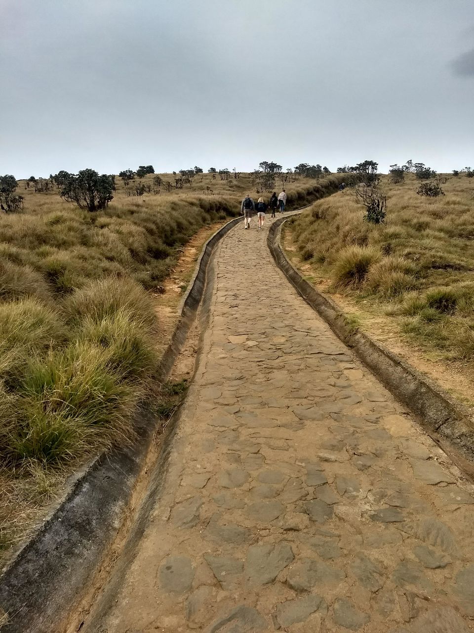 Photo of Horton Plains National Park, Sri Lanka by Shanky Kalra