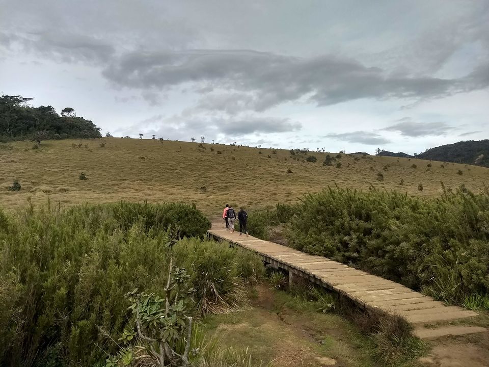 Photo of Horton Plains National Park, Sri Lanka by Shanky Kalra