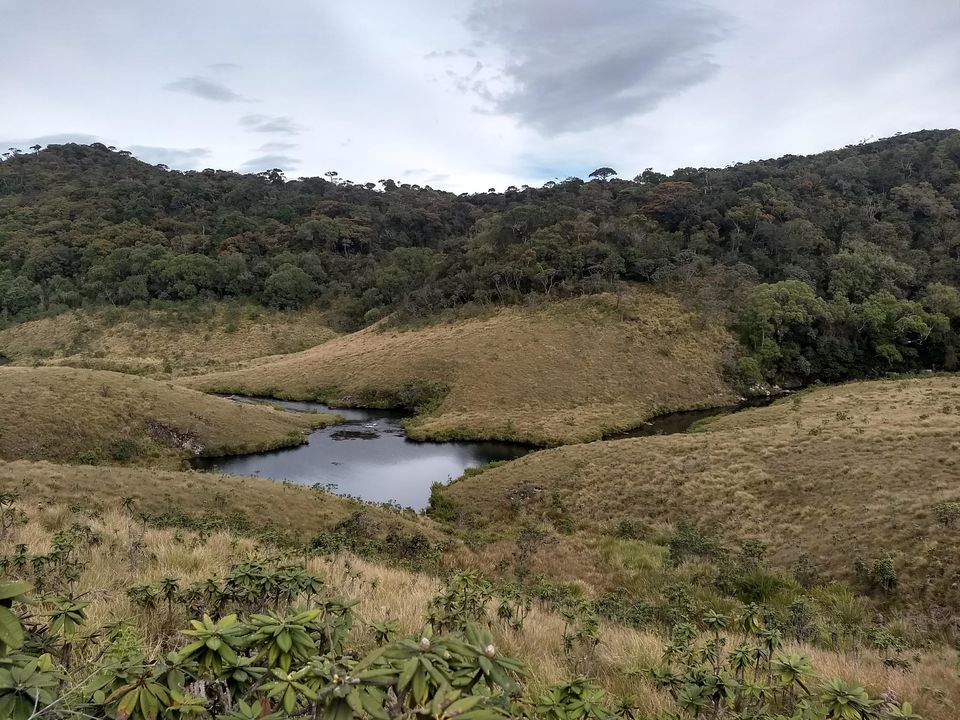 Photo of Horton Plains National Park, Sri Lanka by Shanky Kalra
