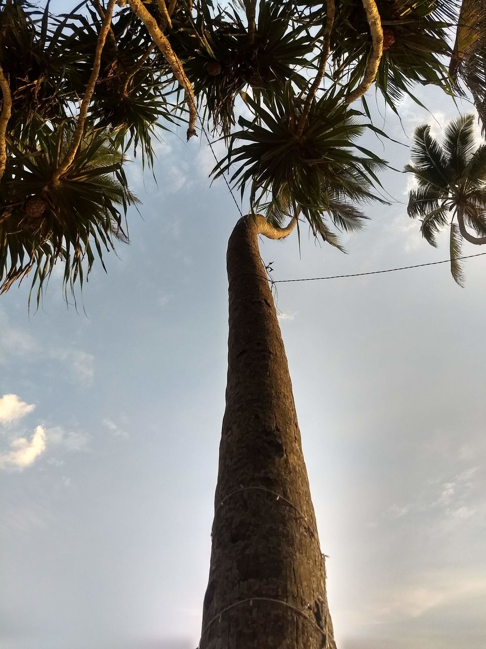 Photo of Unawatuna, Sri Lanka by Shanky Kalra