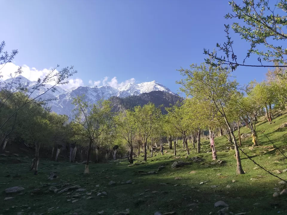 Photo of Explore the Unexplored - Lahaul Valley. by Shanky Kalra