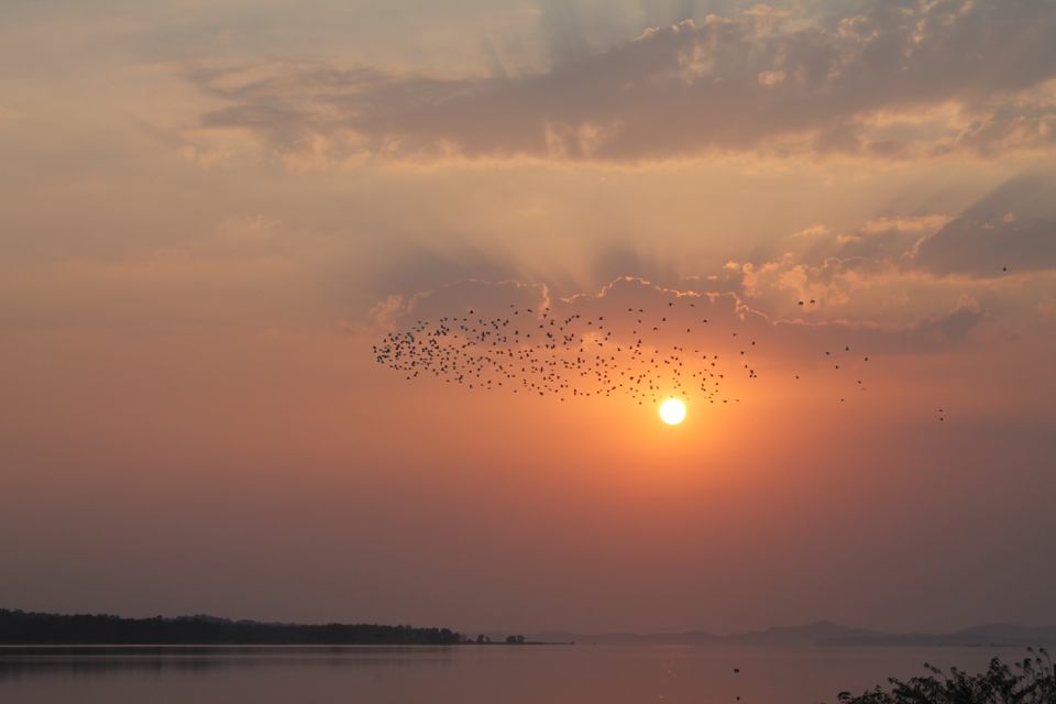 Photo of Madhai by Jasleen Kaur