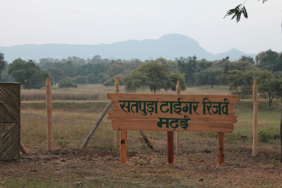 Photo of Satpura Tiger Reserve by Jasleen Kaur