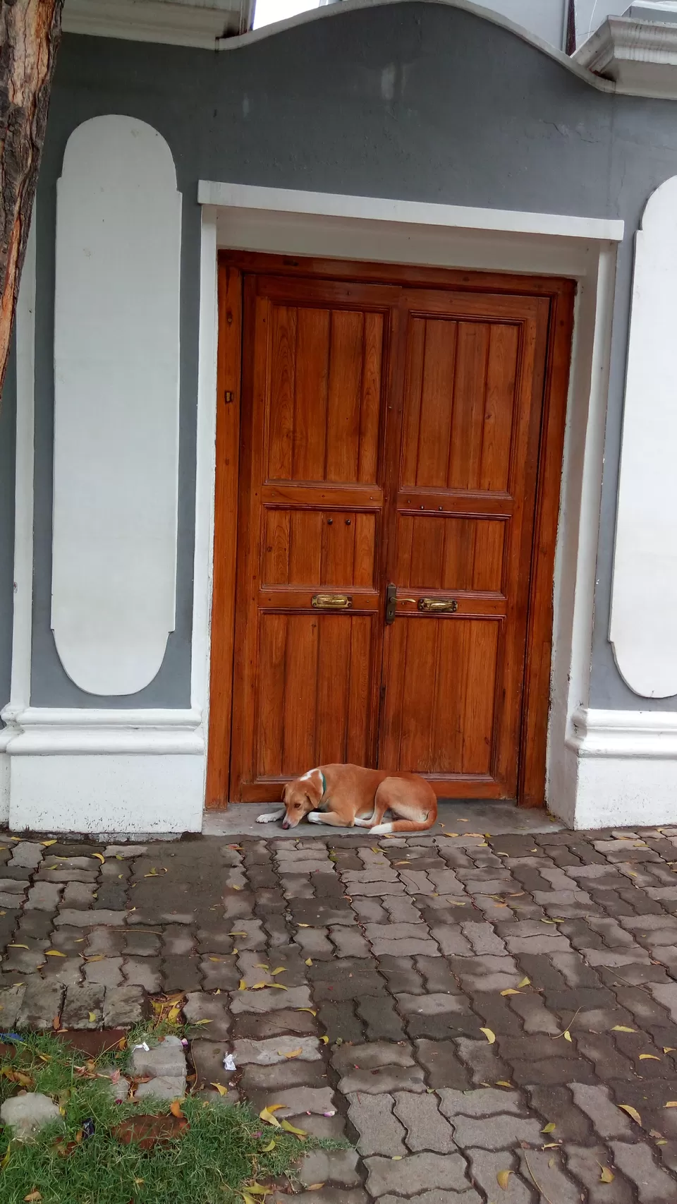 Photo of White Town, Puducherry, India by Komal Narsinghani